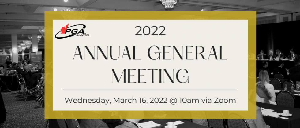 Virtual AGM Recording