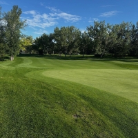 City of Calgary Golf - 2.jpg