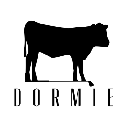 Dormie Golf Workshop Inc